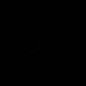 Meet your Posher, Jarethzy